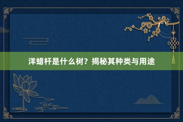 洋蜡杆是什么树?揭秘其种类与用途
